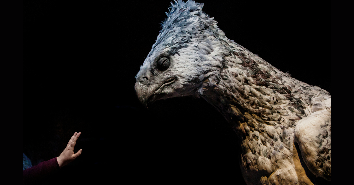 Untitled design (10)