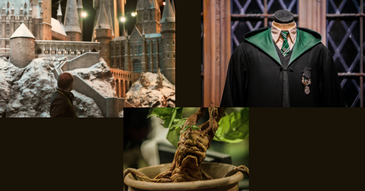 Untitled design (13)